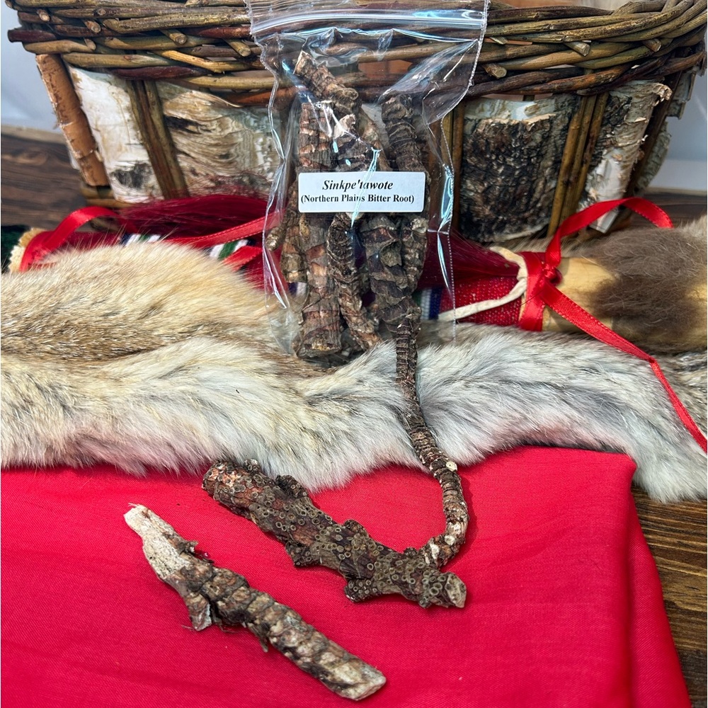 Northern Plains Bitter Root